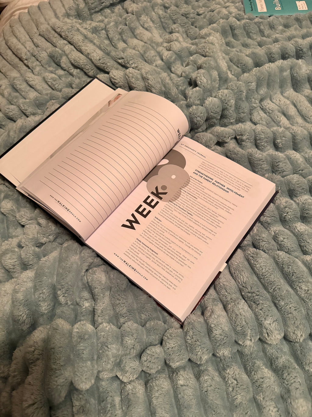 ALL MADE WELL Pregnancy Journal